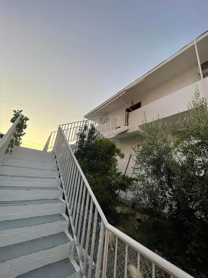 Villa Oasis Berat Extérieur photo