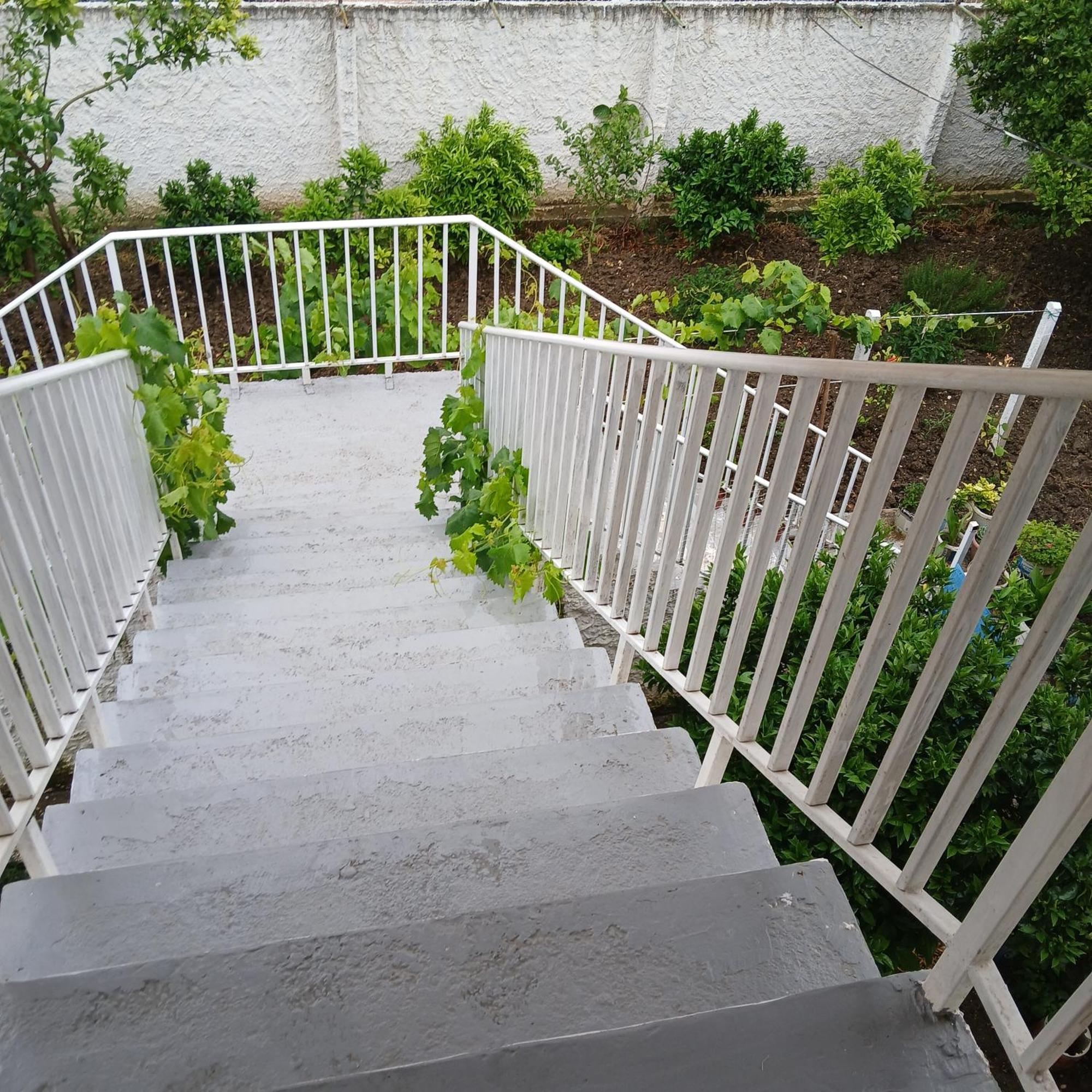Villa Oasis Berat Extérieur photo